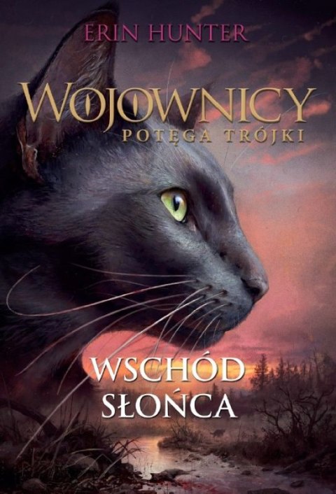 Wojownicy. Wschód słońca. Potęga trójki