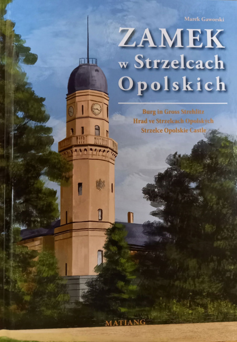 Zamek w Strzelcach Opolskich