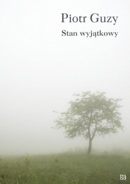 Stan wyjątkowy