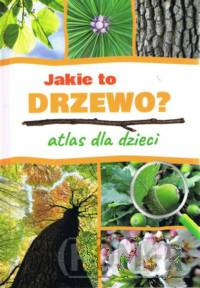 Jakie to drzewo? Atlas dla dzieci