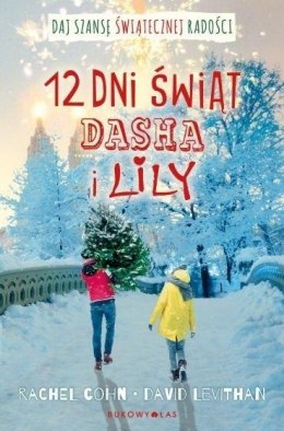 Dwanaście dni świąt Dasha i Lilyas