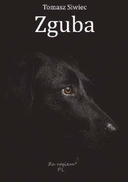 Zguba