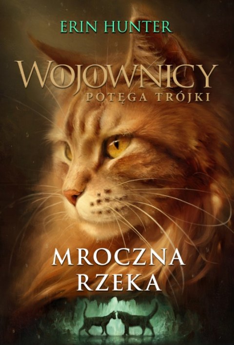 Wojownicy Potęga Trójki Tom 2 Mroczna rzeka