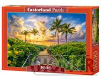 Puzzle 3000 Colorful Sunrise in Miami, USA