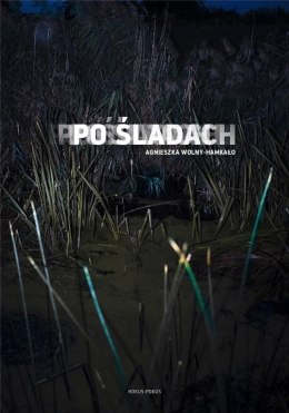 Po śladach