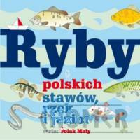 Ryby polskich stawów, rzek i jezior