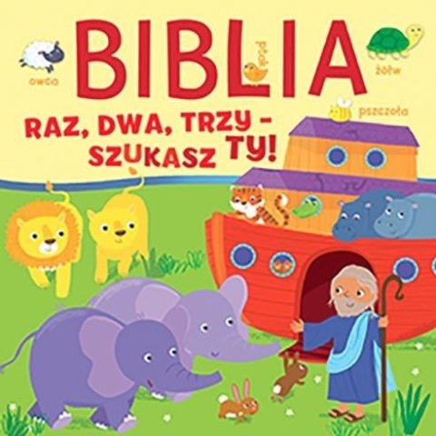 Biblia. Raz, dwa, trzy - szukasz ty!