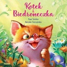 Kotek i biedroneczka