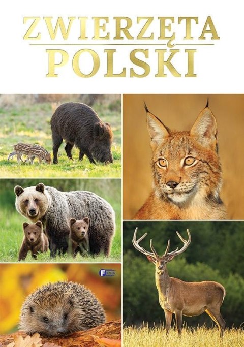 Zwierzęta Polski