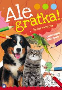 Ale gratka Zwierzęta domowe