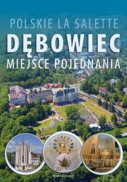 Polskie La Salette. Dębowiec. Miejsce pojednania