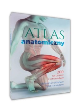 Atlas anatomiczny