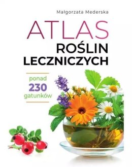 Atlas roślin leczniczych