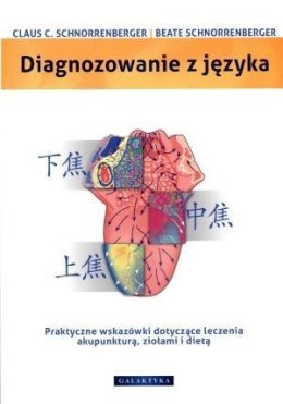 Diagnozowanie z języka. Praktyczne wskazówki...