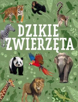 Dzikie zwierzęta